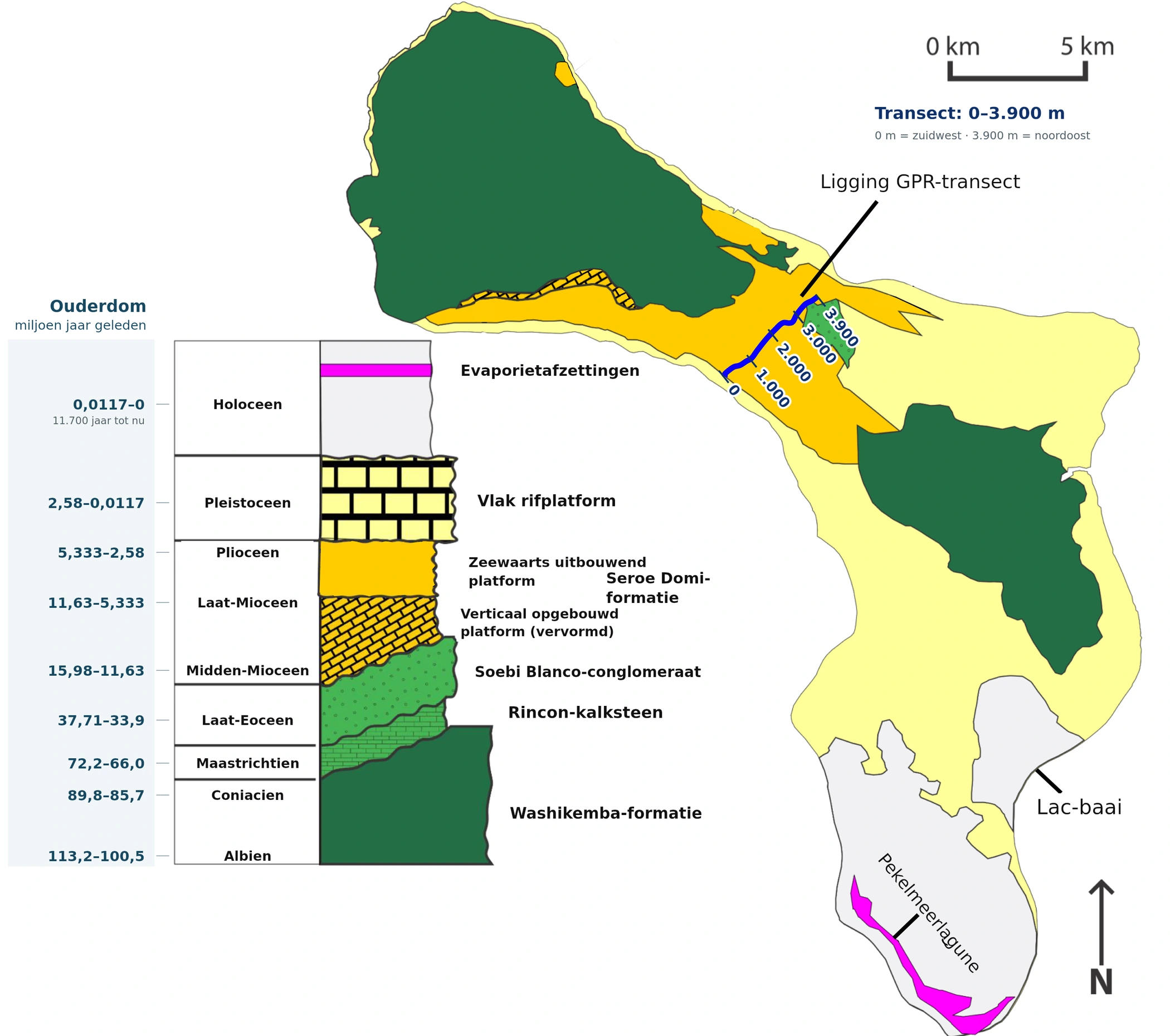 Geologische kaart van Bonaire: donkergroene vulkanische basis, gele kalkstenen, jonge lichte rifkalk en roze verdampingsafzettingen. Blauwe lijn: de radarroute.